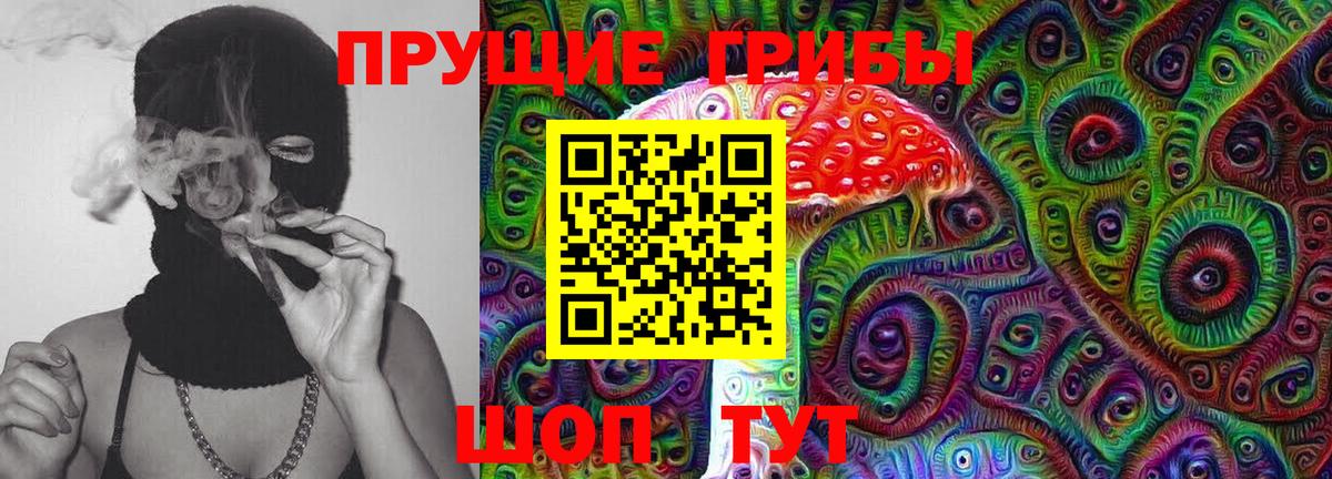 Железногорск  сколько стоит  Вход с VPN  Галлюциногенные грибы мицелий  Псилоцибиновые грибы Psilocybine cubensis 